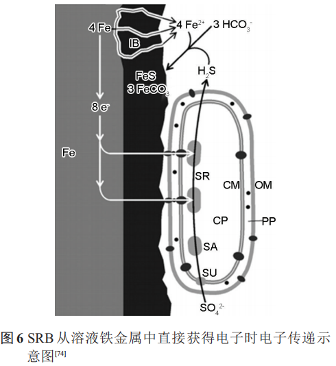 腾博会官网·专业效劳,诚信为本